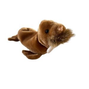 1999 Paul The Walrus Walrus Ty Beanie Baby Plush Collectible Vintage 90s